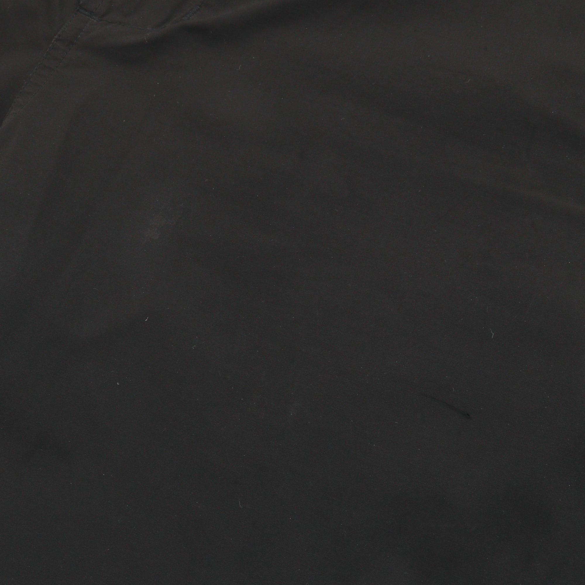 Tiger Embroidered Slim Fit Snopants