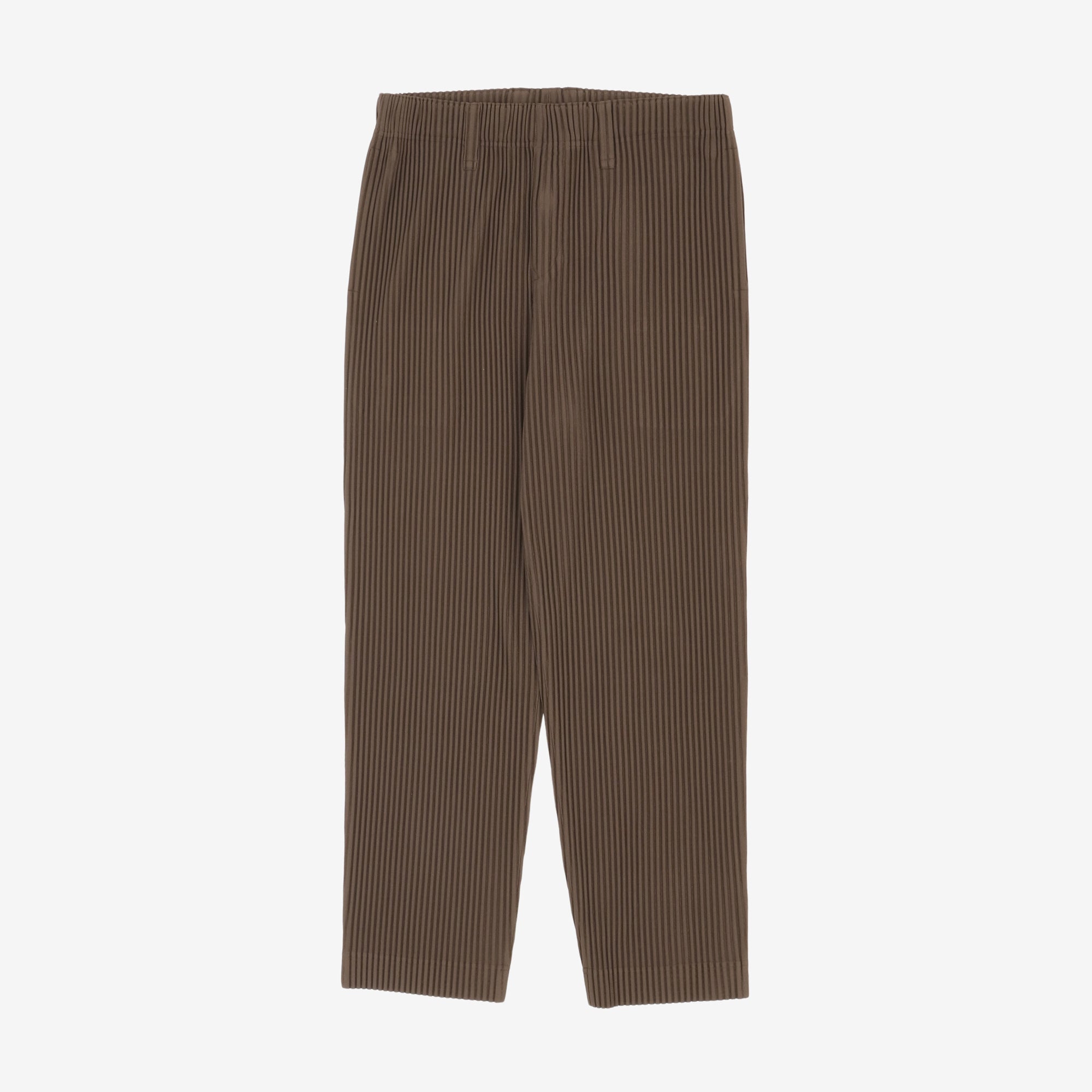 Pleated Pants (Homme Plisse)