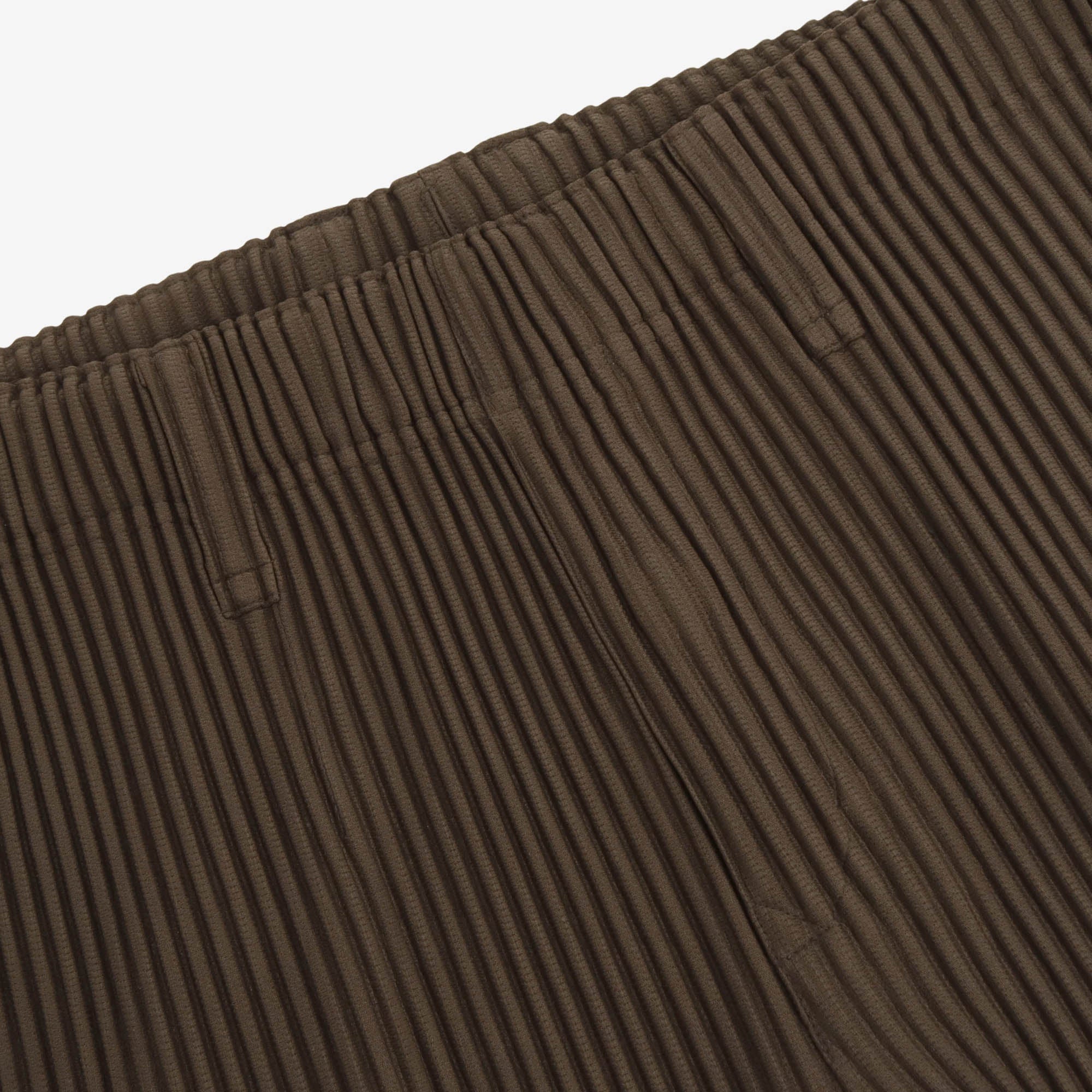Pleated Pants (Homme Plisse)