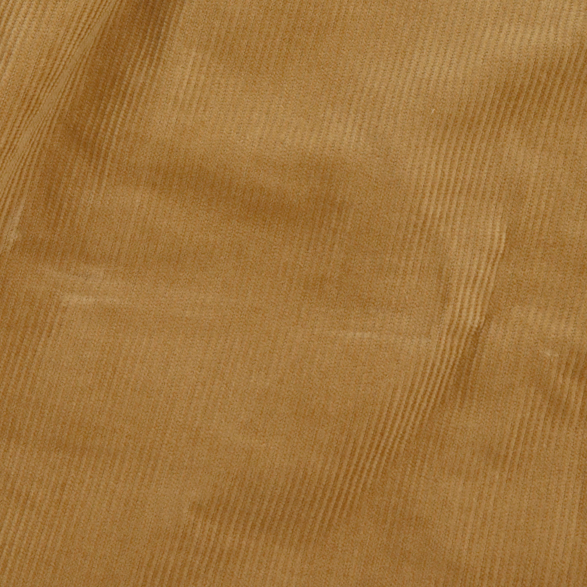 Summer Corduroy Swim Shorts