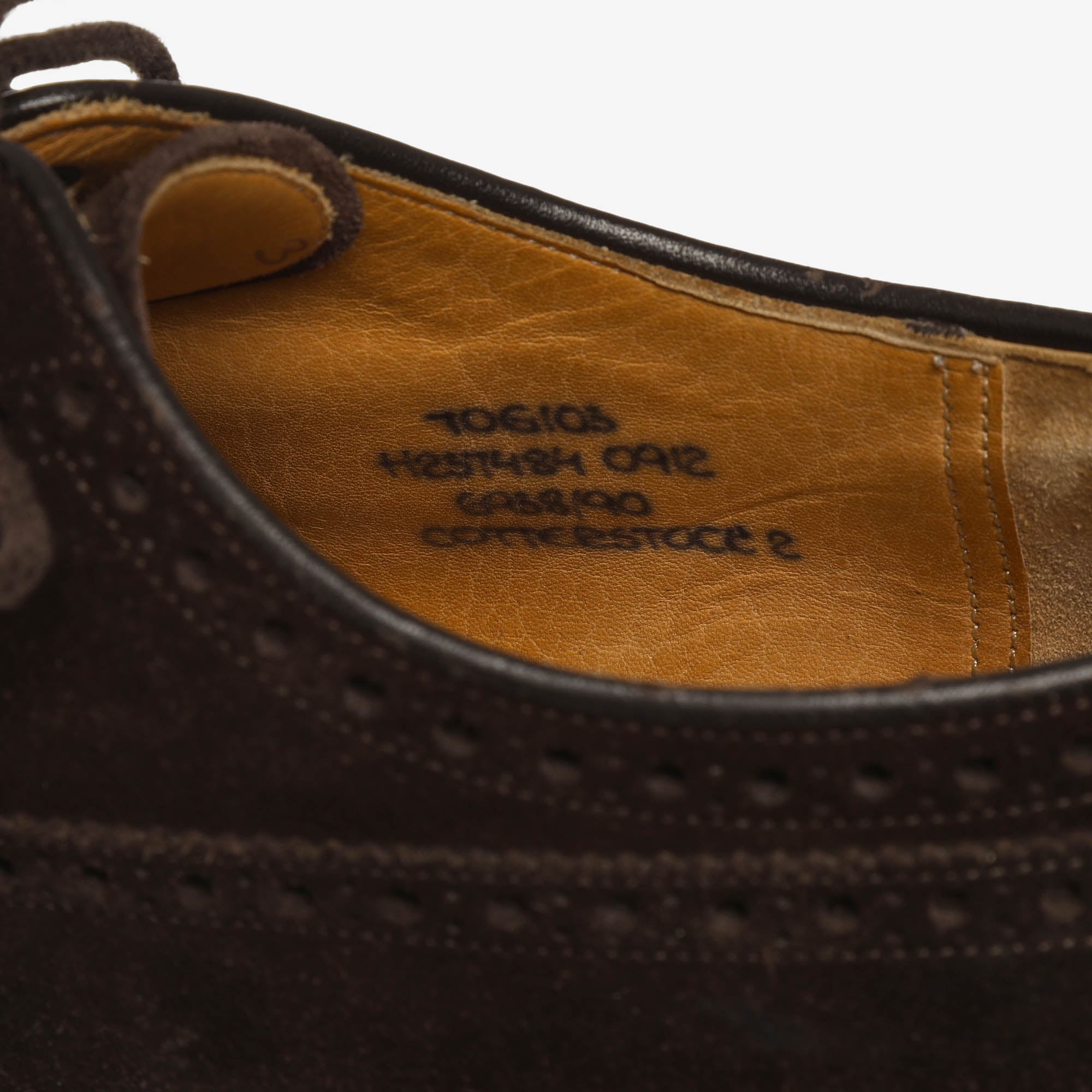 Cotterstock Suede Brogues