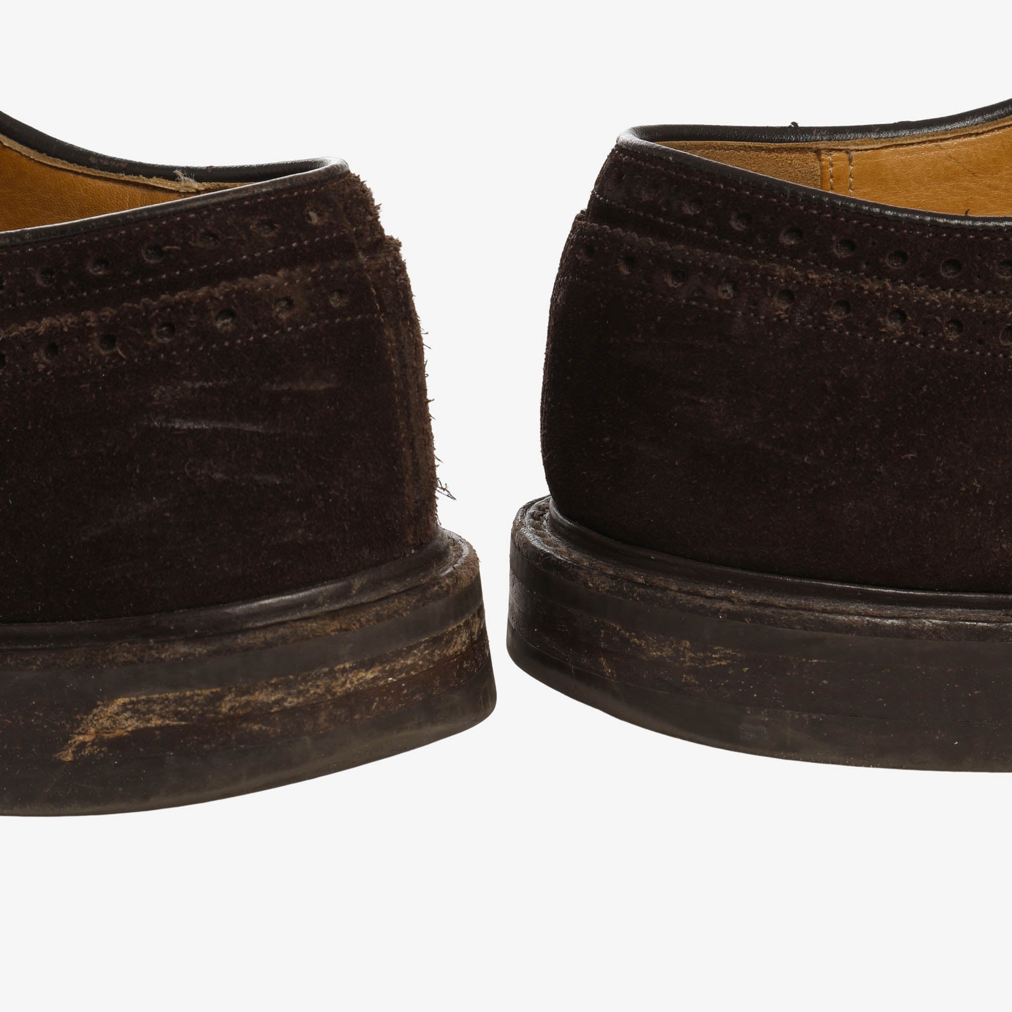 Cotterstock Suede Brogues
