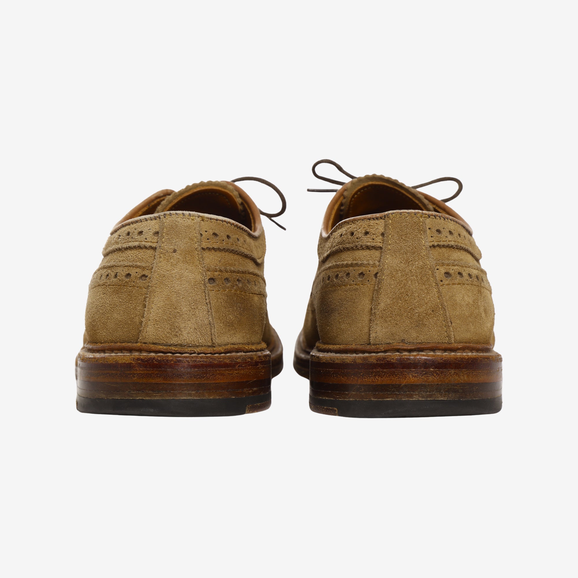 9794 Snuff Suede Long Wing Blucher