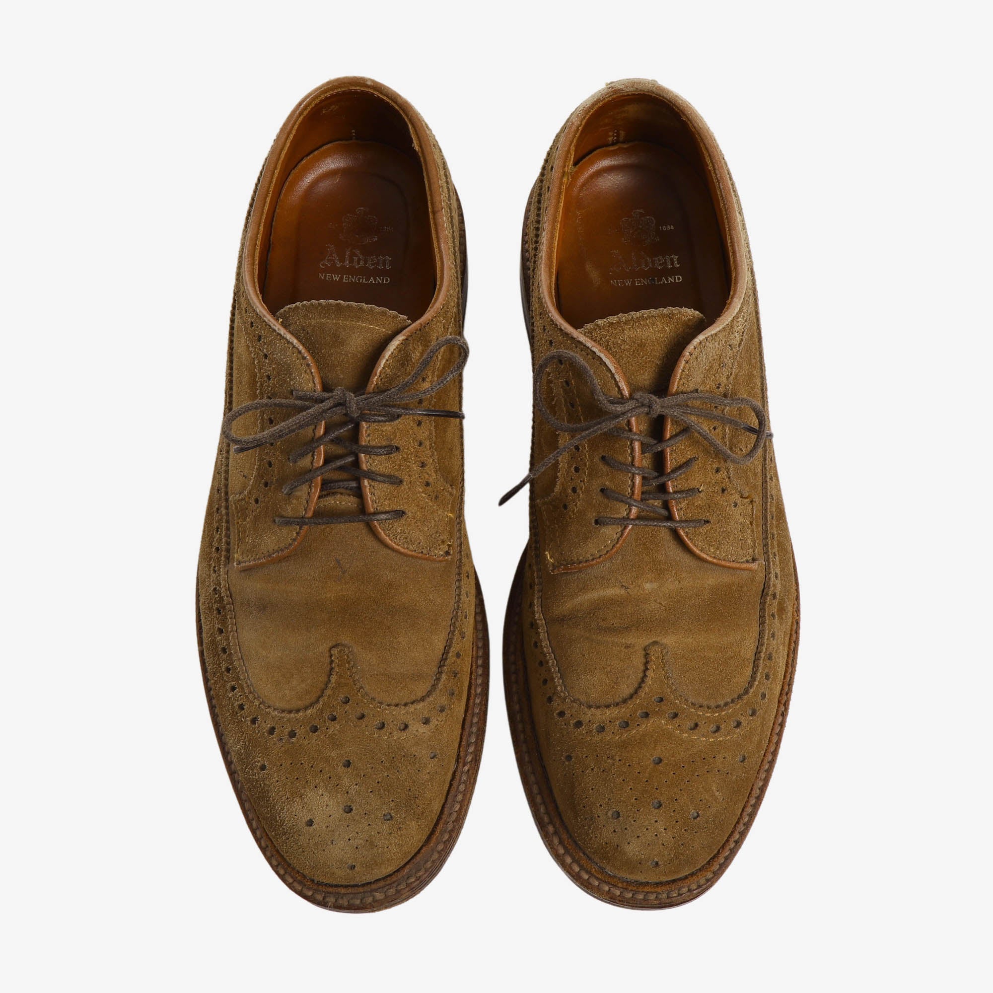 9794 Snuff Suede Long Wing Blucher