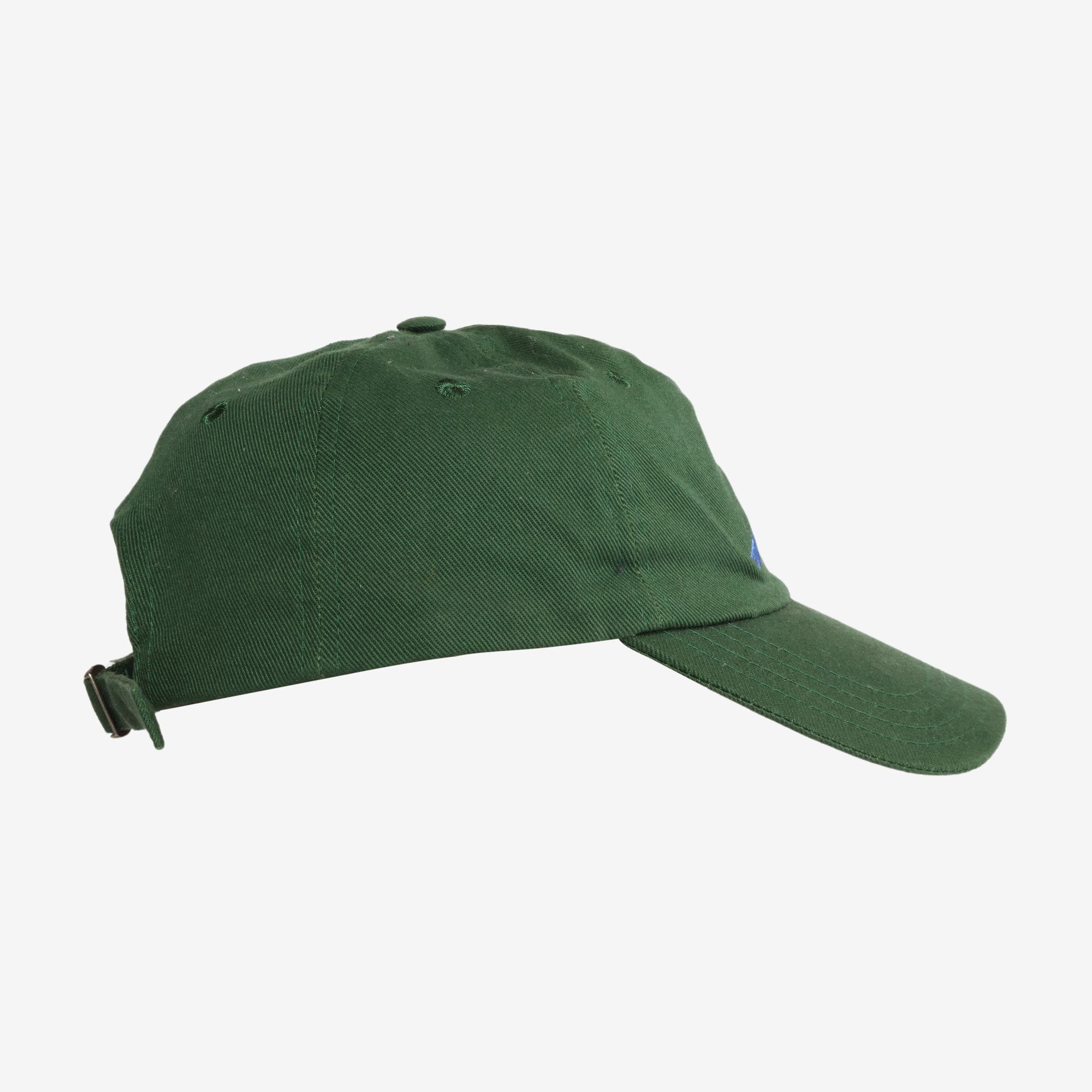 Dolphin Baseball Cap