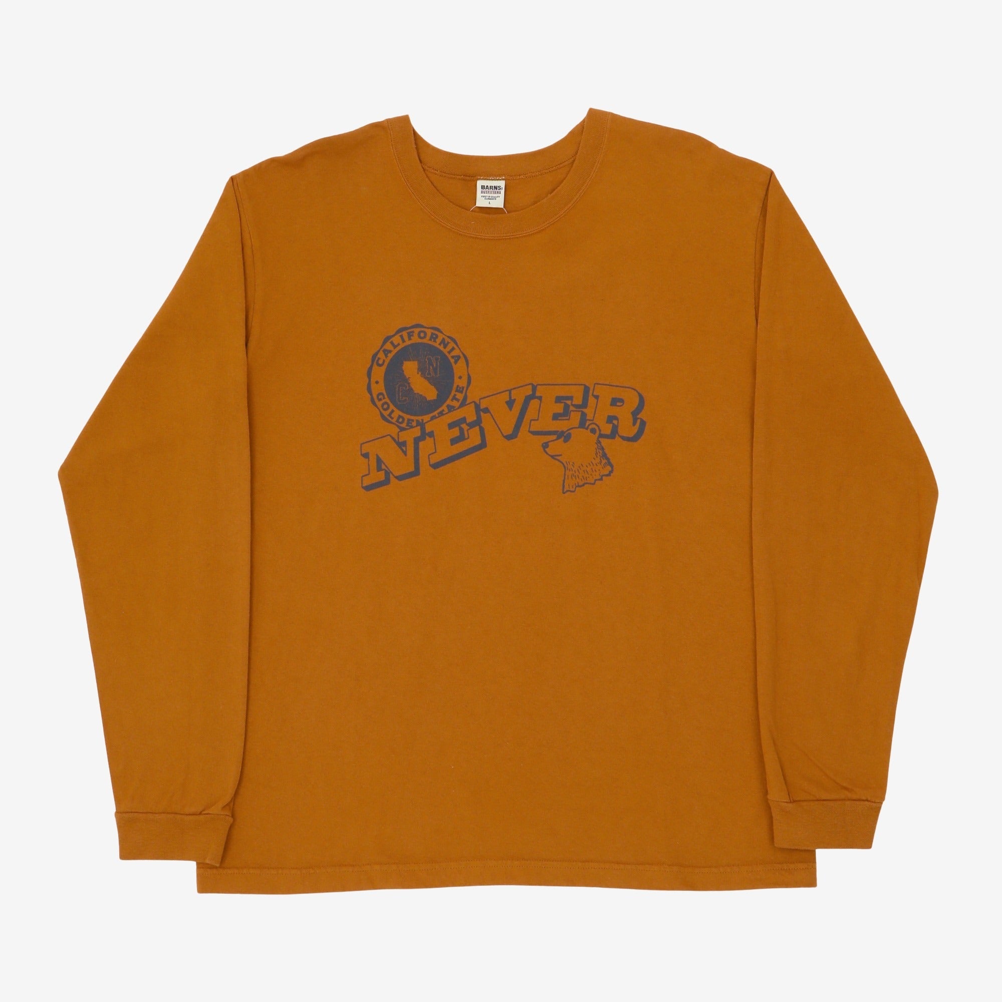 Never LS Top