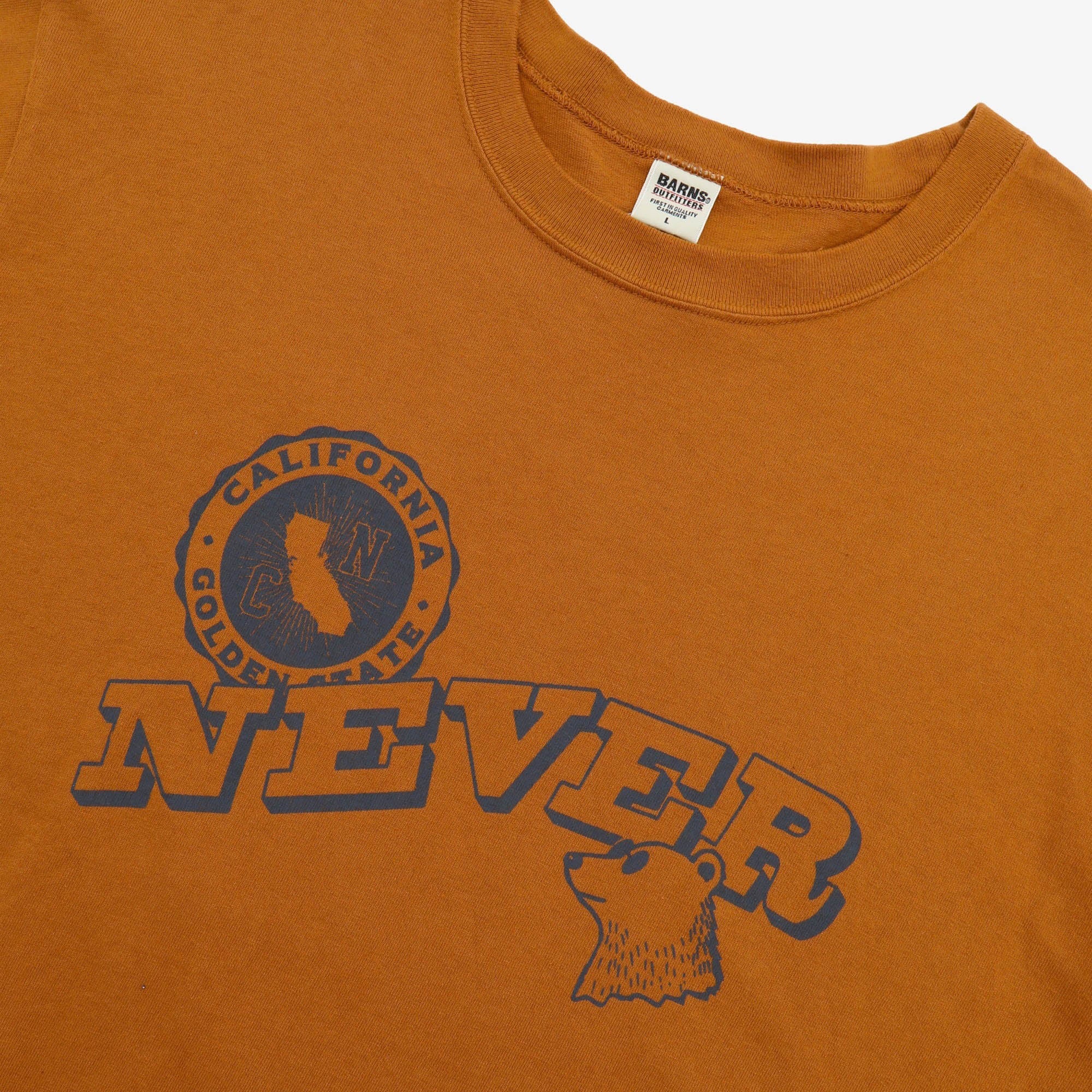Never LS Top