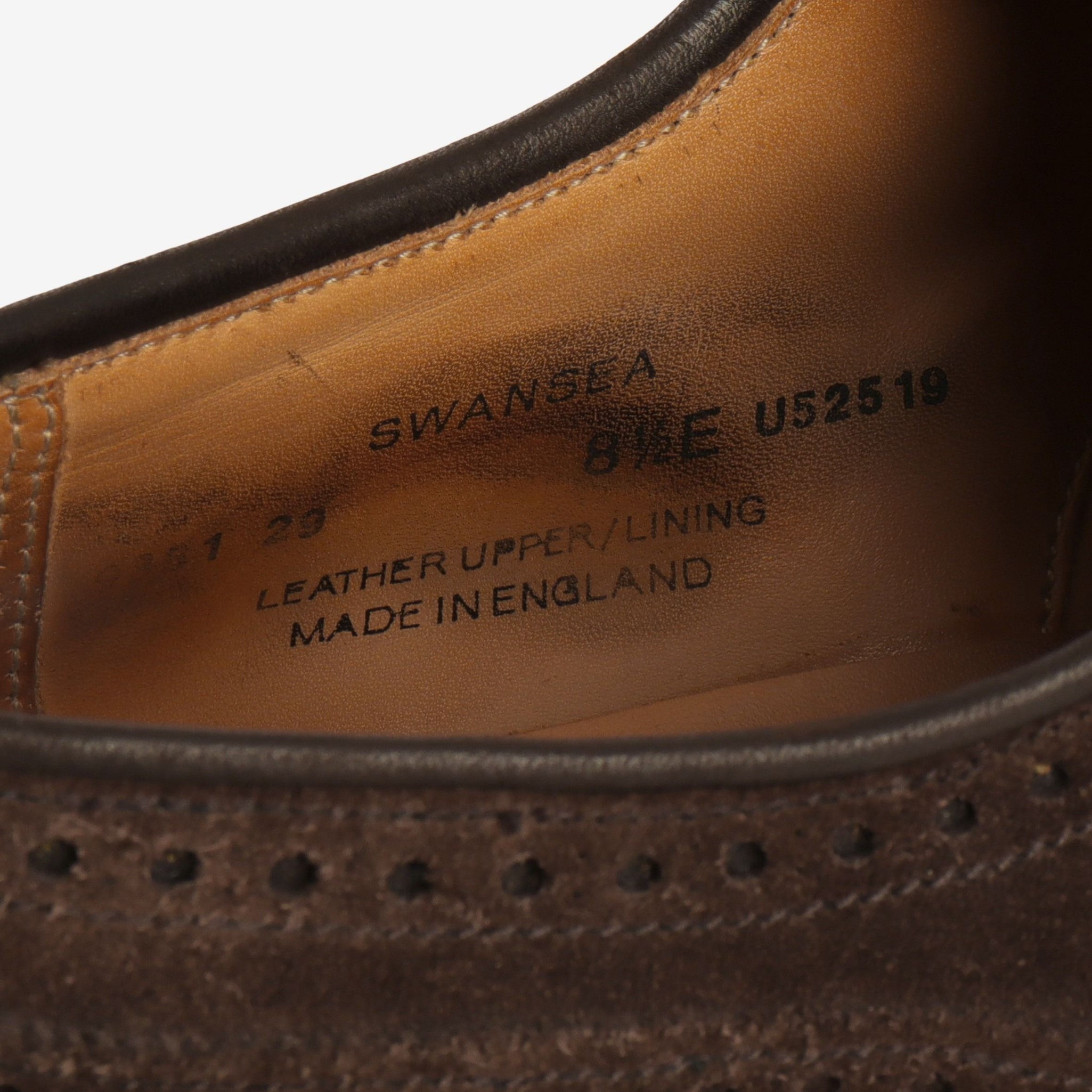 Pembroke Suede Brogue