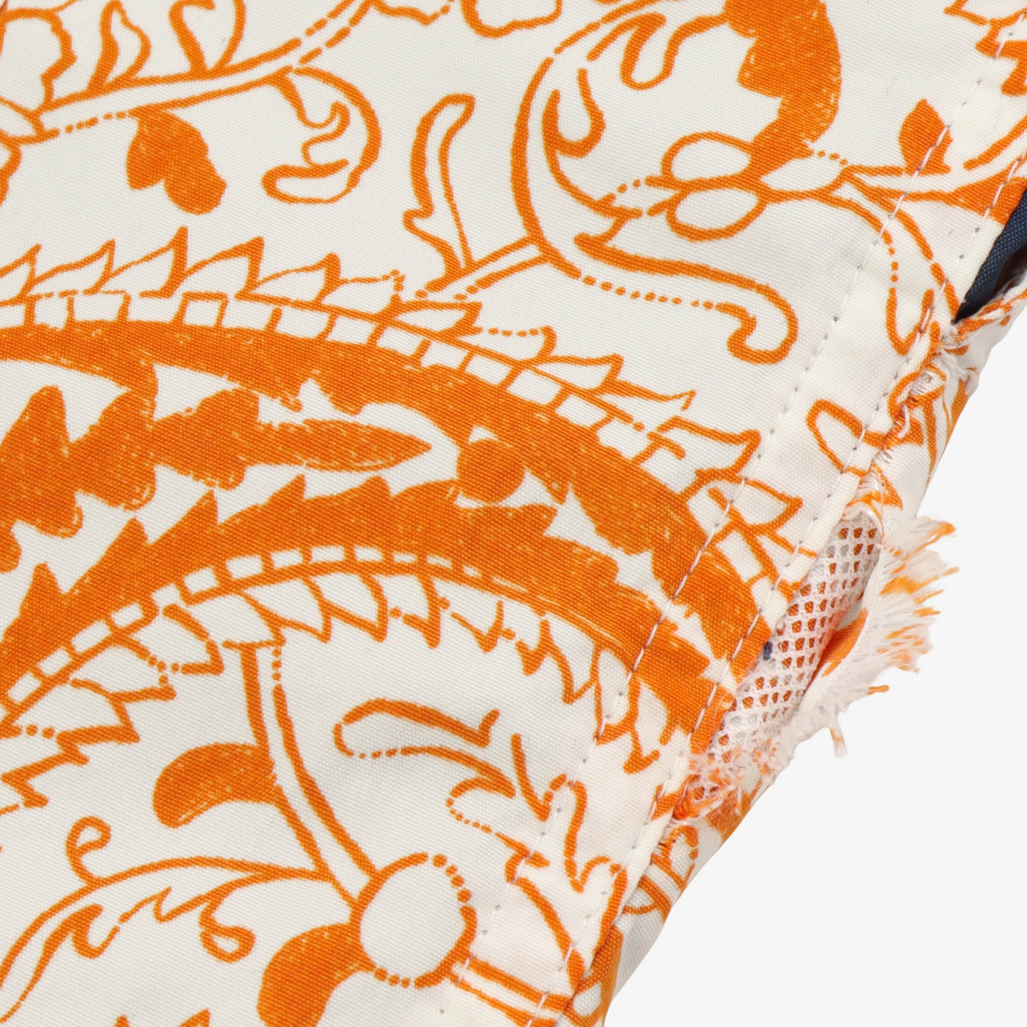 Paisley Print Trunks