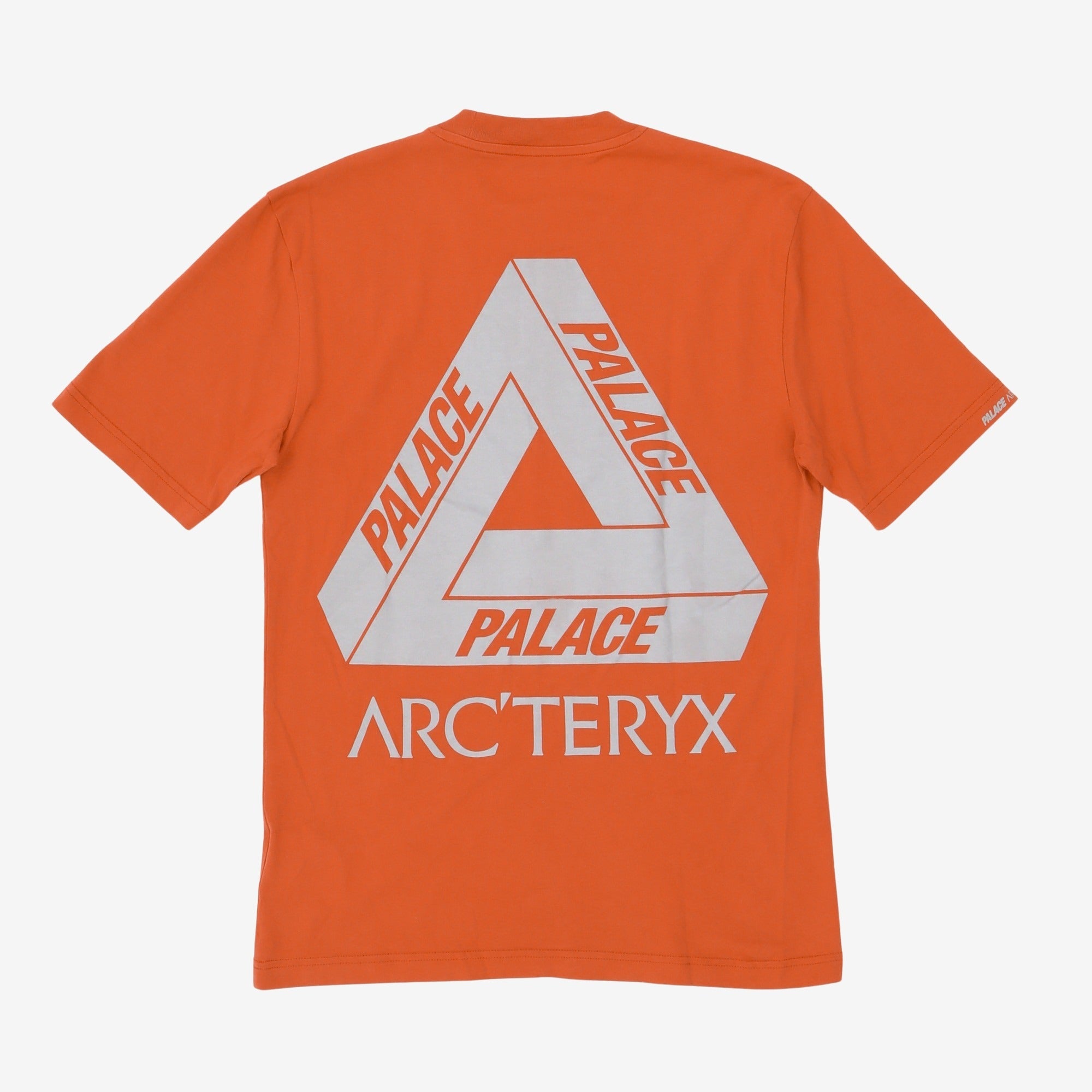 Arcteryx Tri Ferg T-Shirt