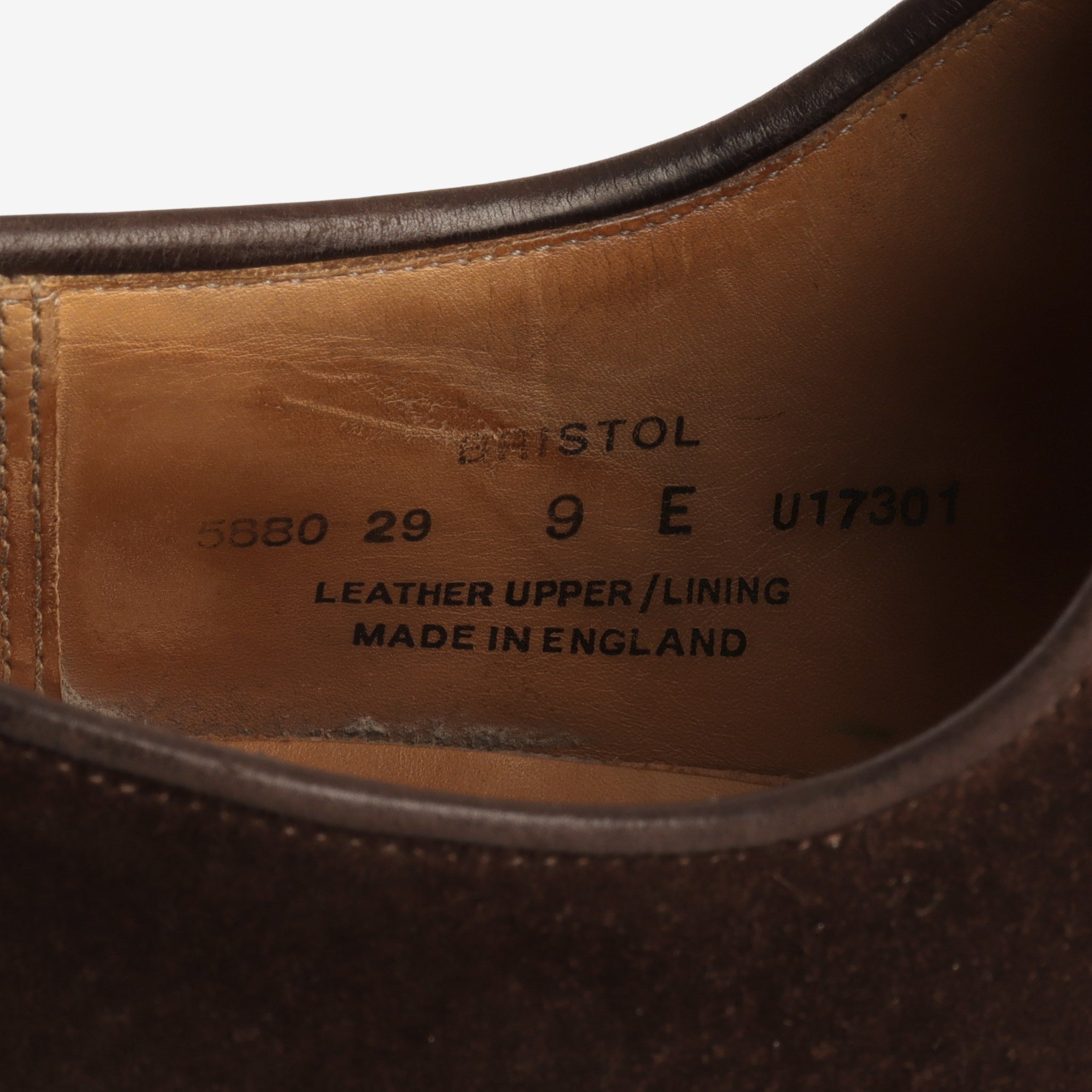 Bristol Derby + Trees