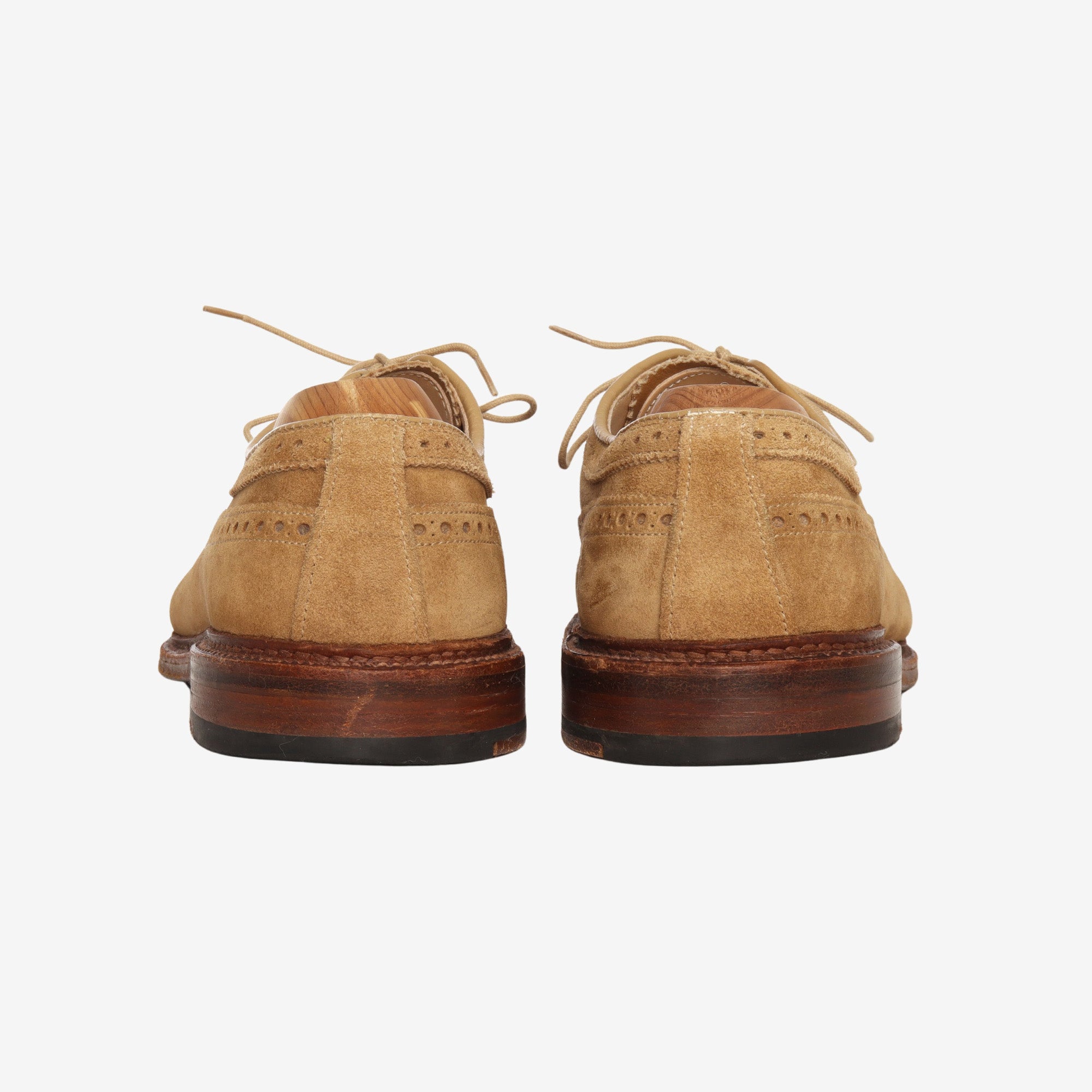 Suede Longwing Bluchers + Trees