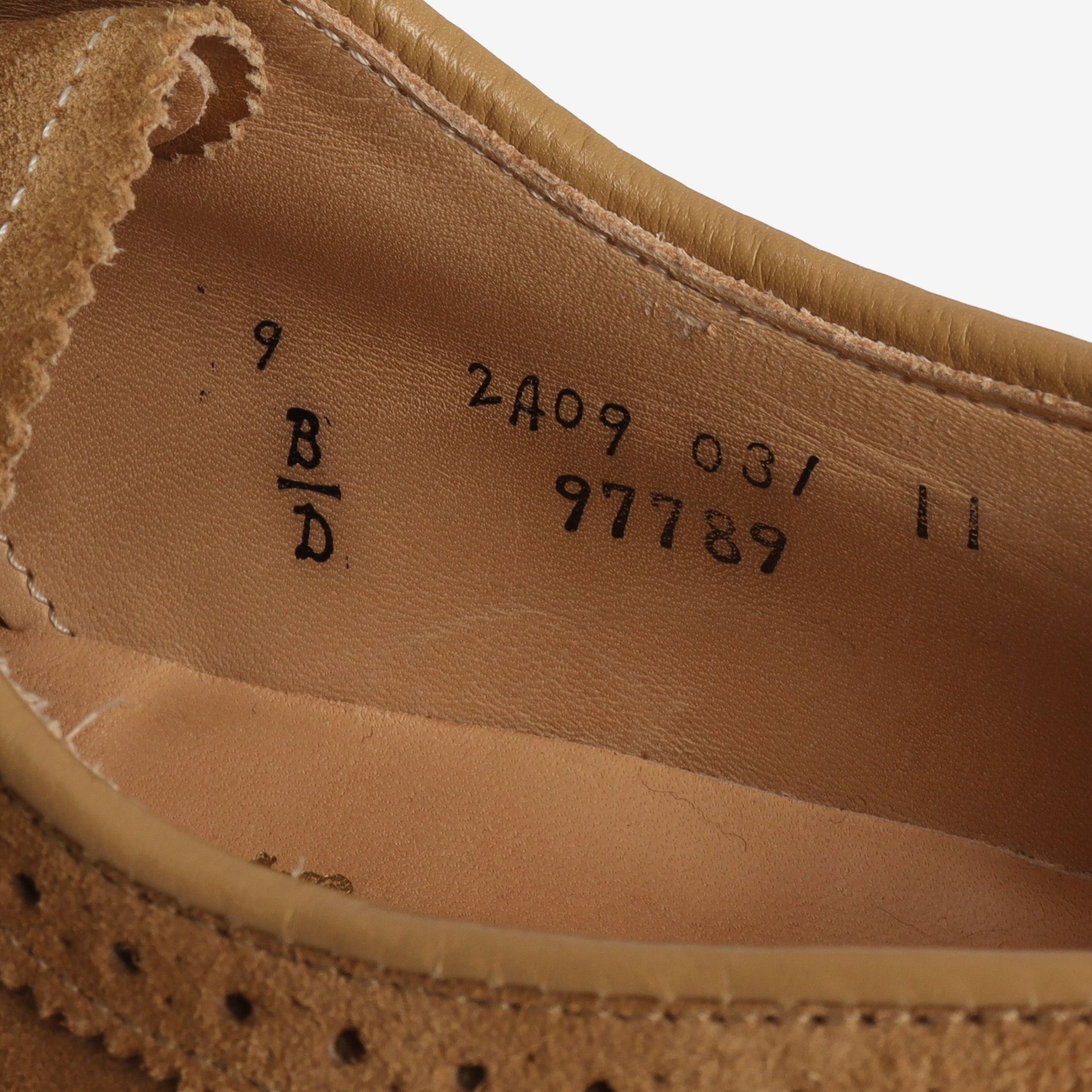 Suede Longwing Bluchers + Trees