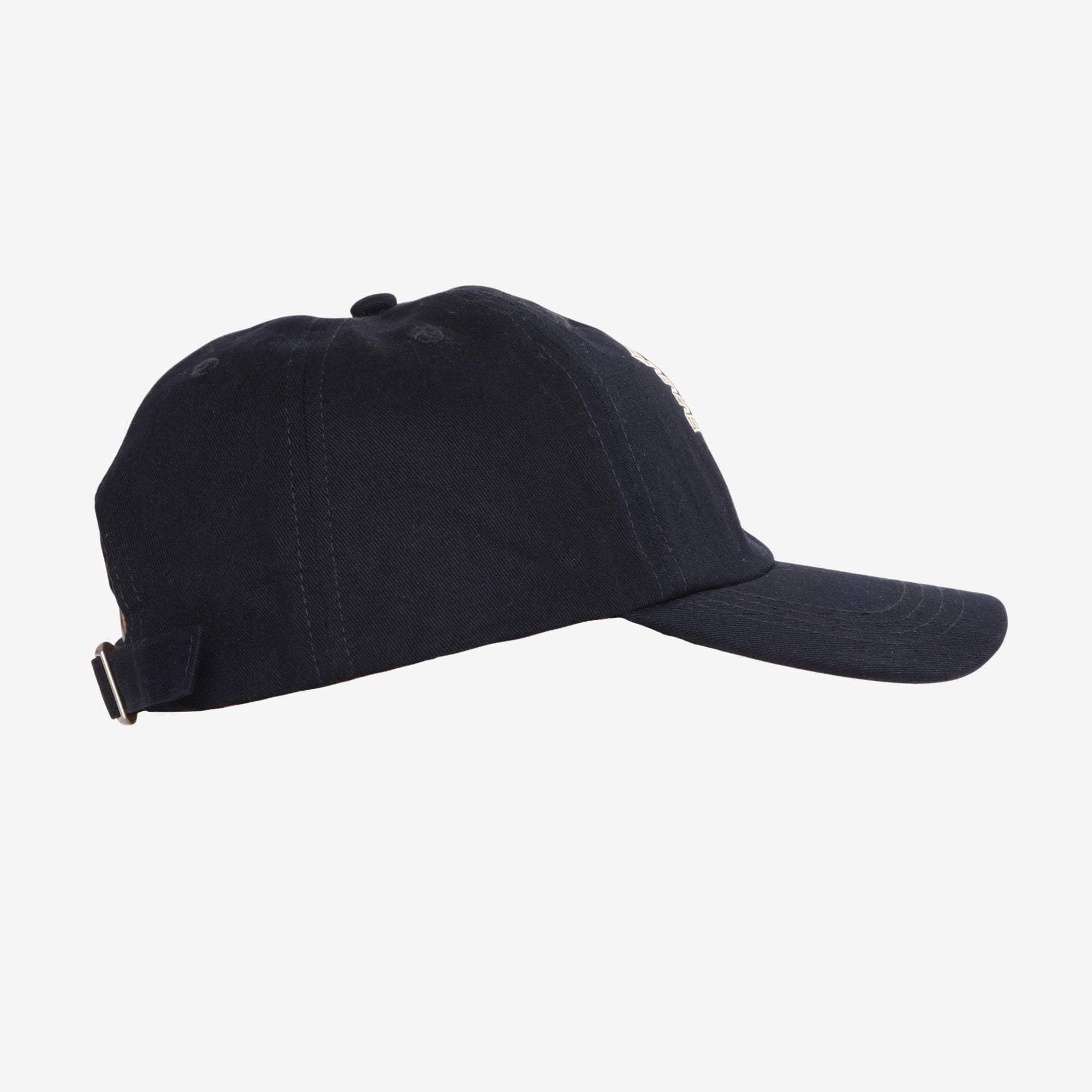 Neil Young 2025 Earth Tour Cap