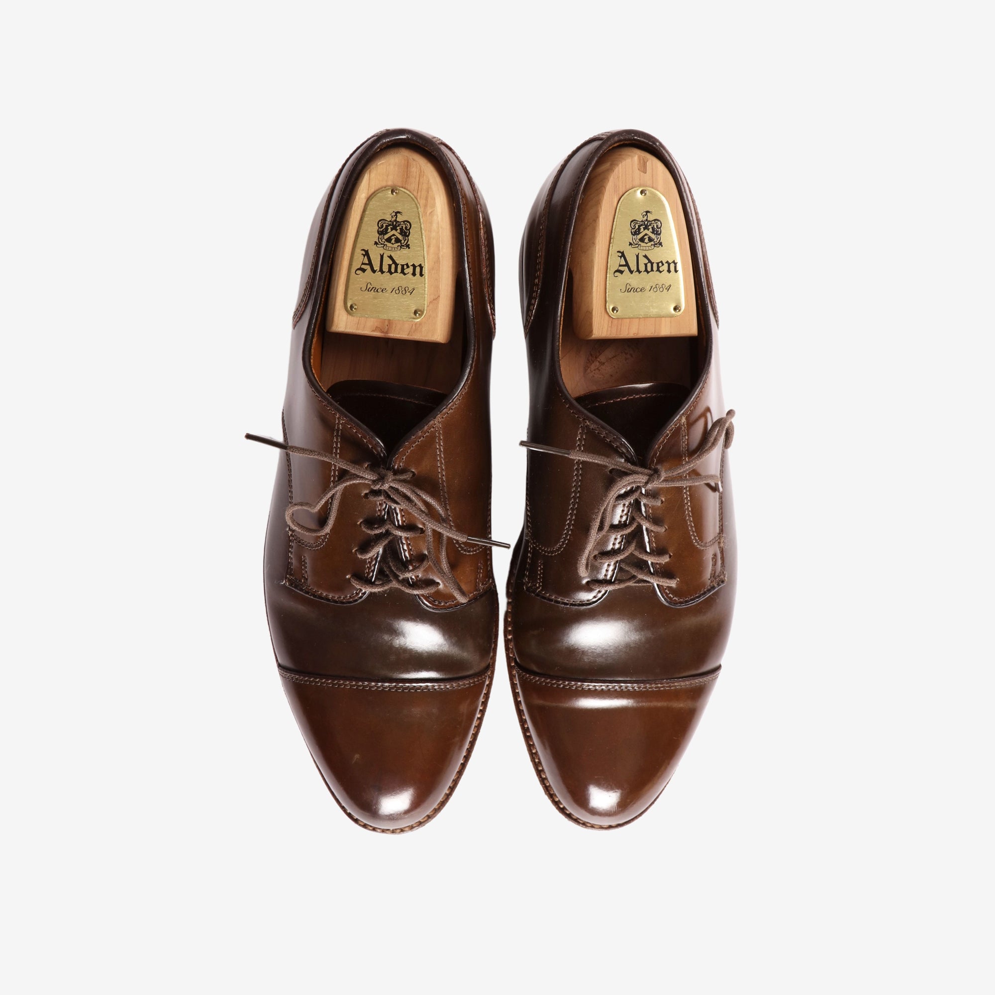 24882 Cigar Shell Cordovan Blucher + Trees