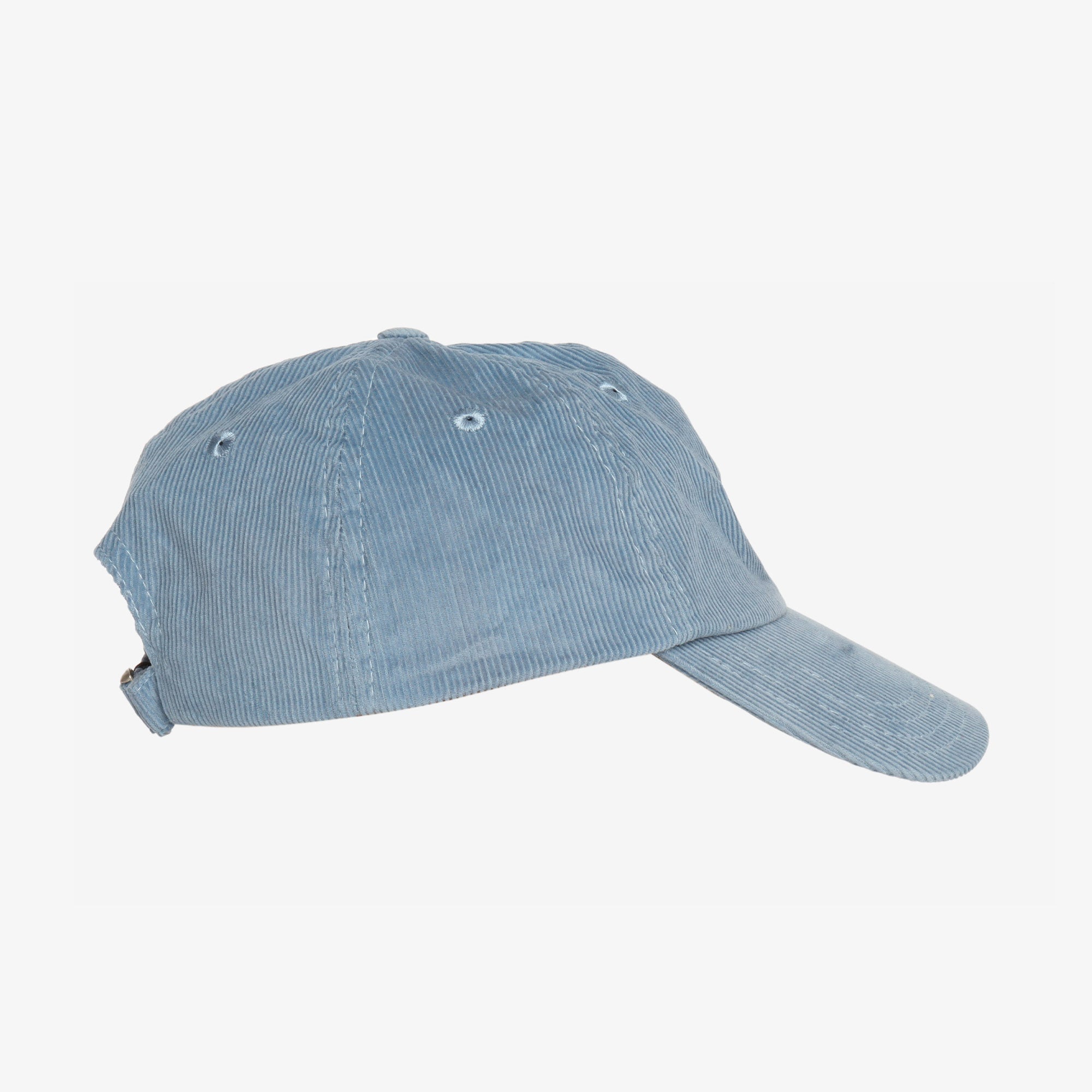 Pigeon Flag Baseball Cap
