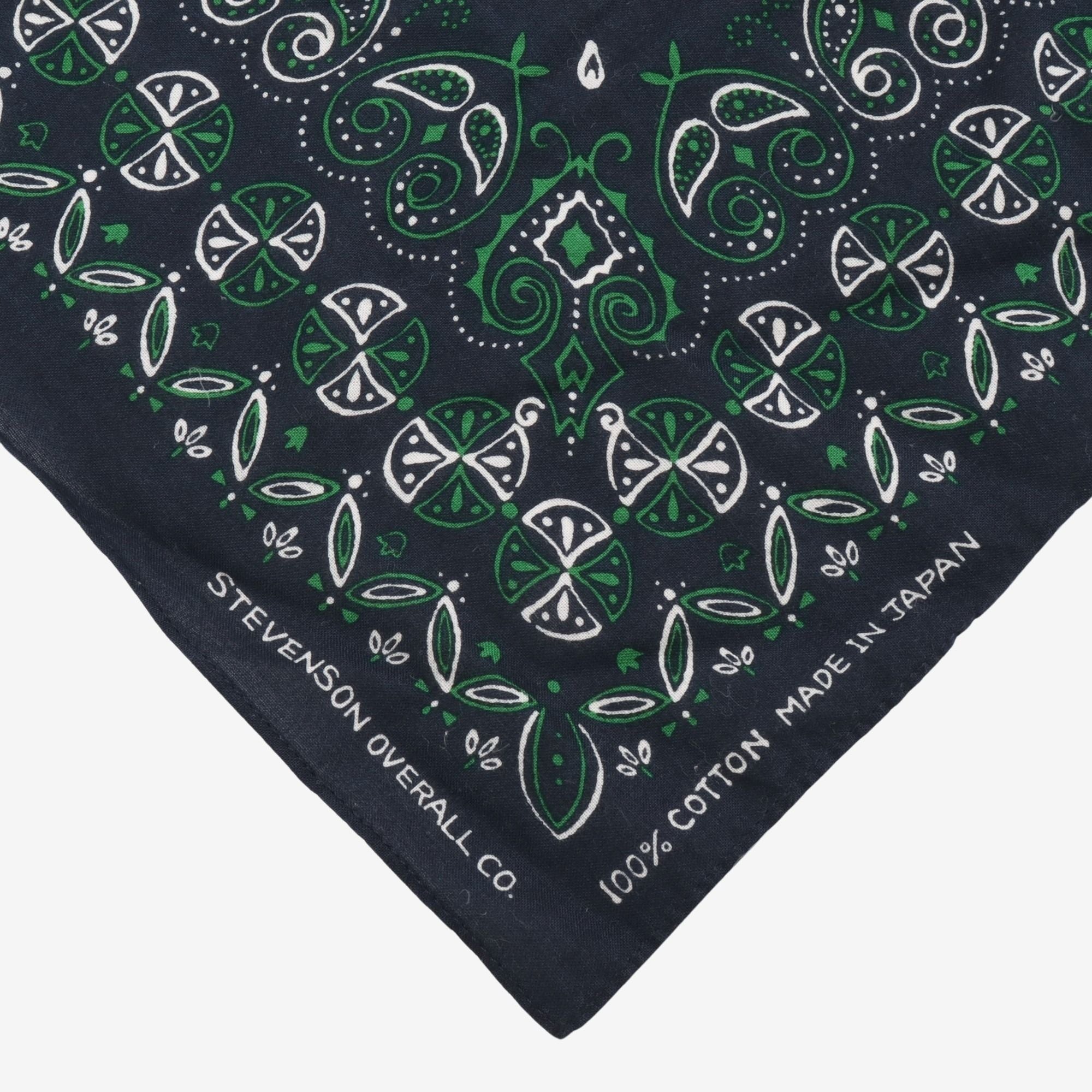 Paisley Bandana