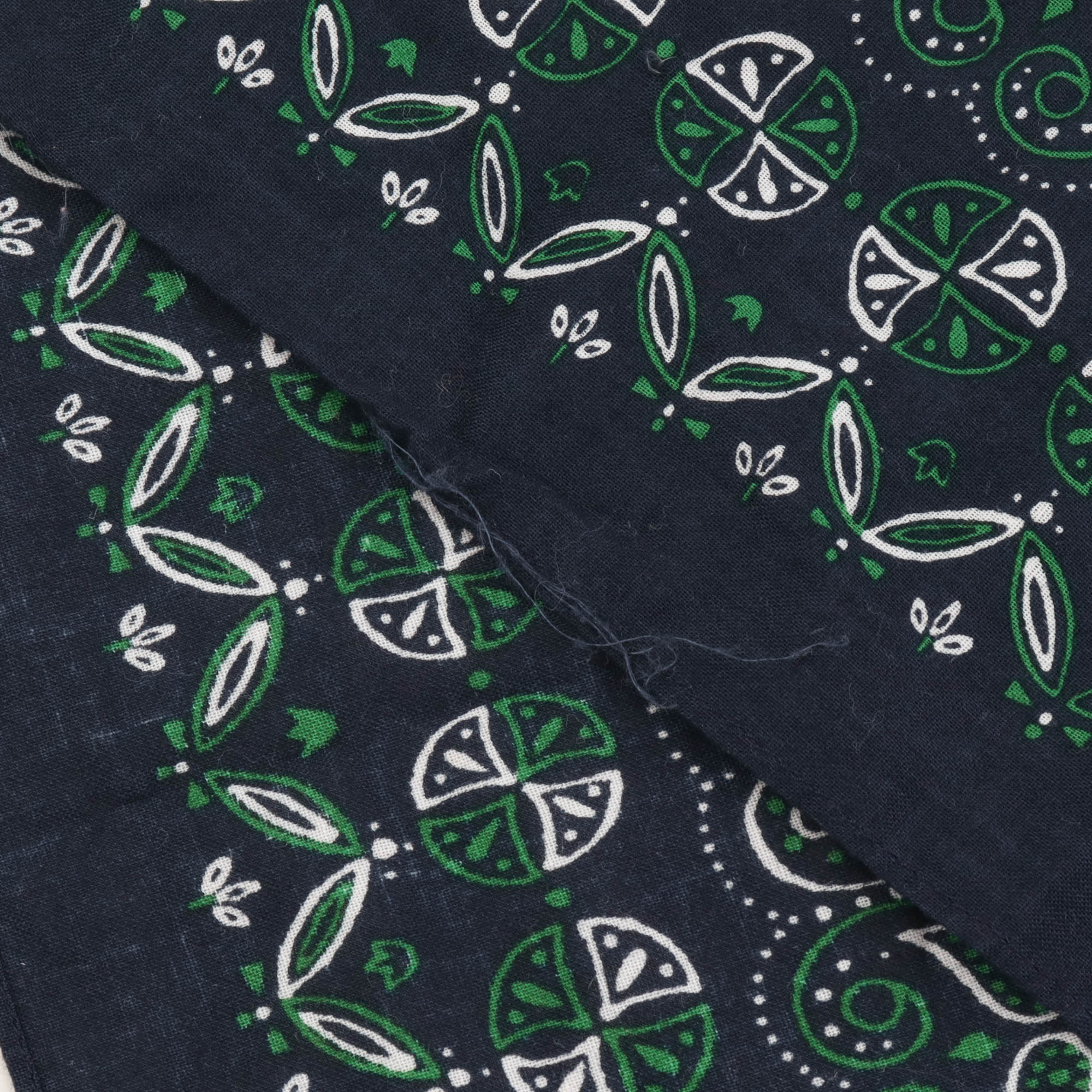 Paisley Bandana