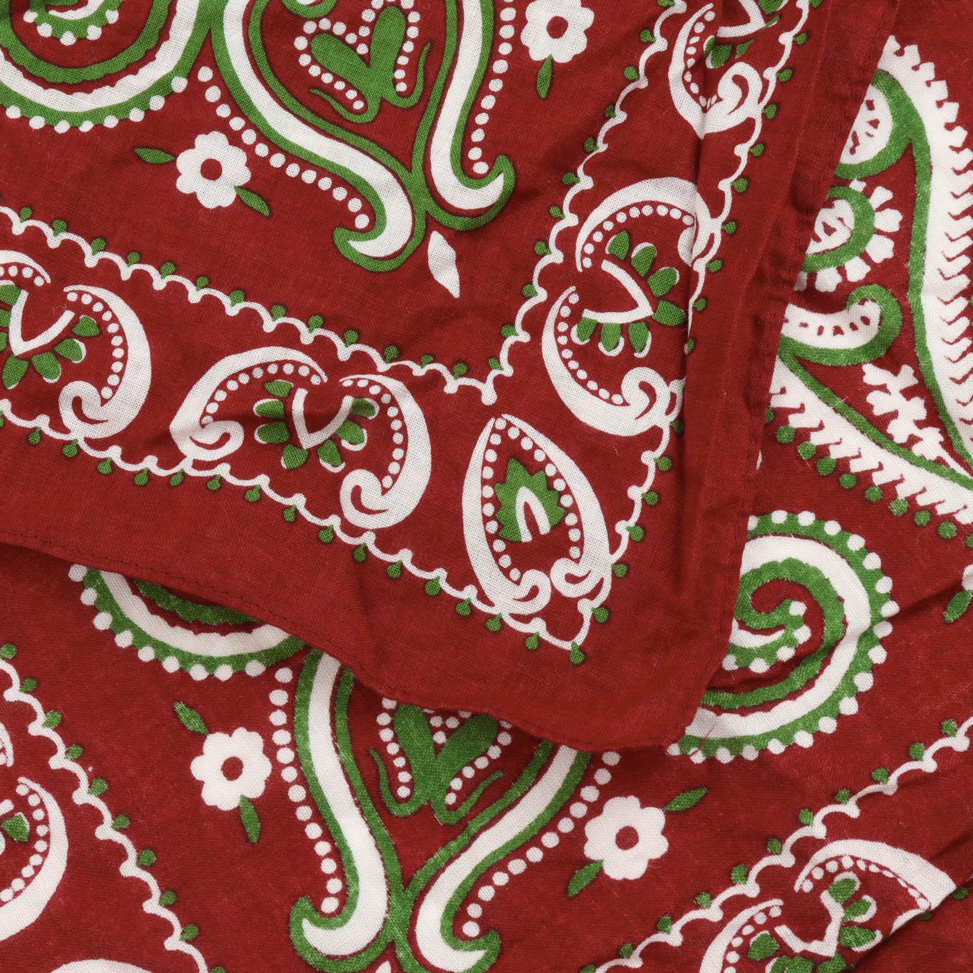 Paisley Bandana