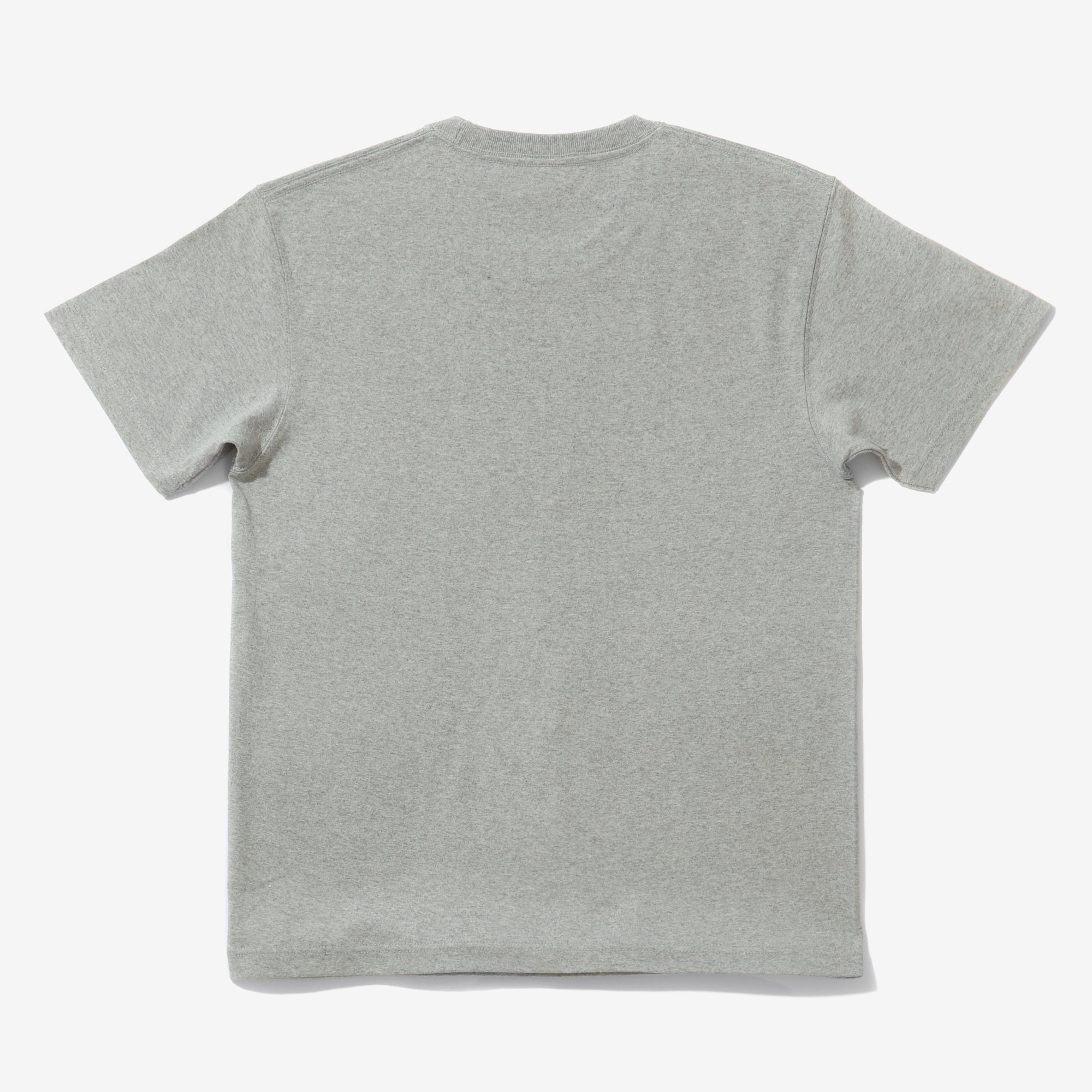 4252 Heavyweight T-Shirt - Grey