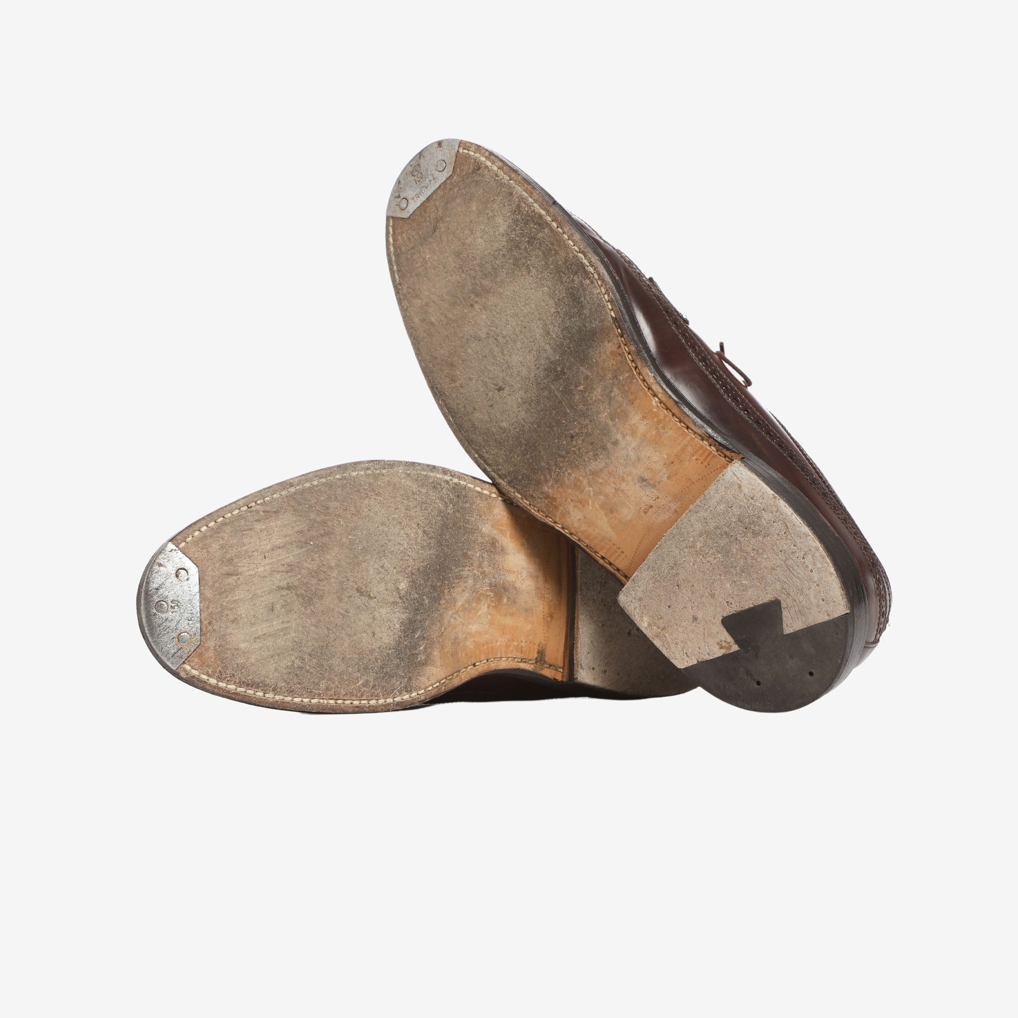 Shell Cordovan Long Wing Blucher